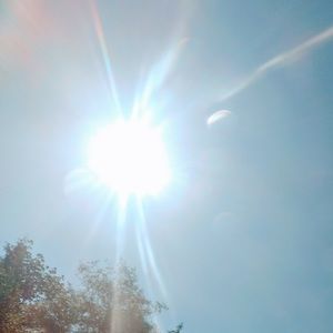 Meet your Posher, Gracie